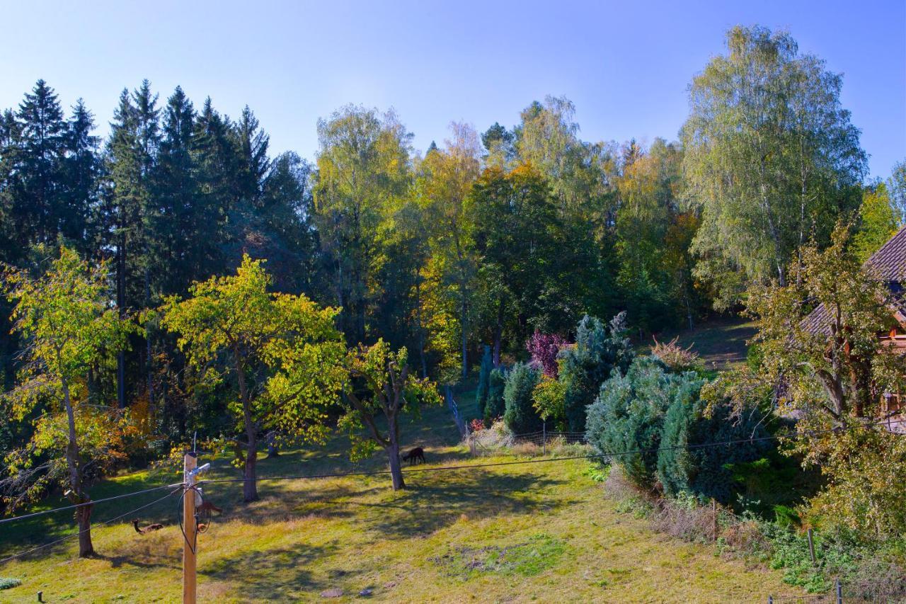 Pension Haus Fuerstenberg Gruenhain-Beierfeld Екстер'єр фото