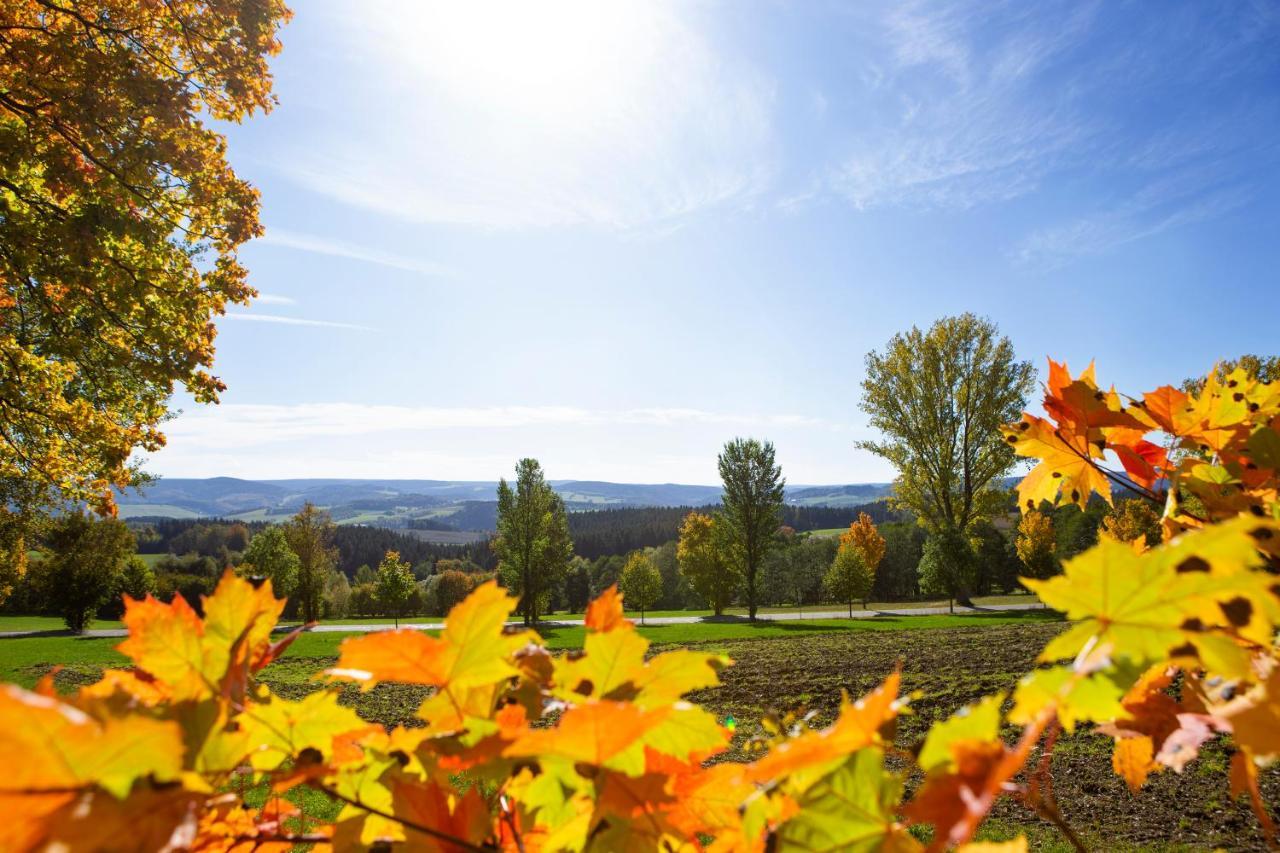 Pension Haus Fuerstenberg Gruenhain-Beierfeld Екстер'єр фото
