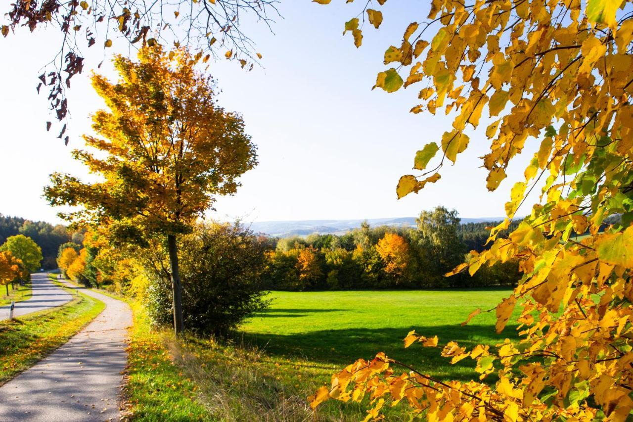 Pension Haus Fuerstenberg Gruenhain-Beierfeld Екстер'єр фото