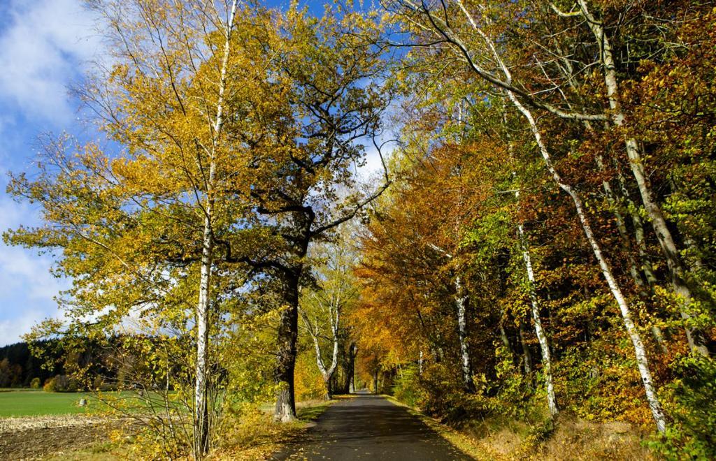 Pension Haus Fuerstenberg Gruenhain-Beierfeld Екстер'єр фото